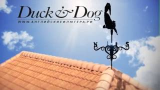 Английские флюгера от компании Duck and Dog
