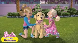 Загадочный подарок | Barbie