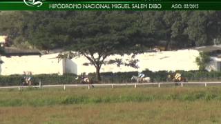 Reunion No. 30 - Carrera 6 - Piccolo Wat - 2 de Agosto del 2015