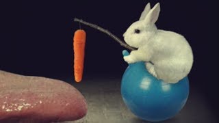 НЕОБЫЧНЫЕ ИГРЫ Mitoza упоротое видео игра