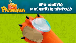 Кот Кубокот и Развлечёба на СТС Kids! Серия 5