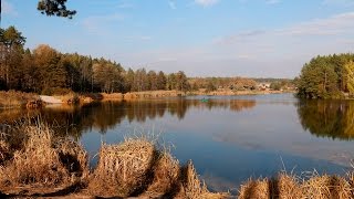 ПЛЕСЕЦКОЕ ОЗЕРО  _1 41