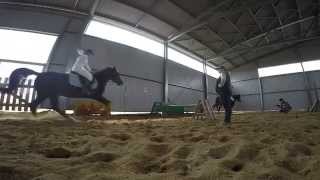 Прыжки на лошади. Horse jumping. Slow Motion. GoPro.