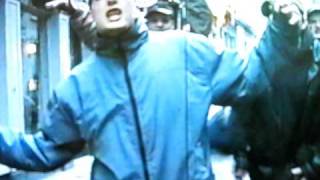 True HeadZ - Status