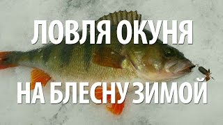 ПОДЛЕДНАЯ РЫБАЛКА на ОКУНЯ ЗИМОЙ на БЛЕСНУ