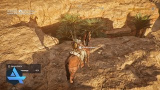 Сокровище Уахе. Статуя Птолемея. Assassin’s Creed: Origins