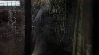 Alien Snogging from Torchwood