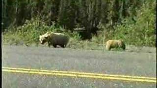 Road Trip to Alaska Part 1