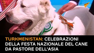 Turkmenistan: celebrazioni della festa nazionale del cane da pastore dell'Asia