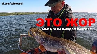 МАМКИ КЛЮЮТ НА КАЖДОМ ЗАБРОСЕ! Щука на Спиннинг. СУПЕР РЫБАЛКА. Осень 2019. ЖОР!