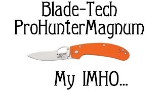 Blade-Tech Pro Hunter Magnum. My IMHO...