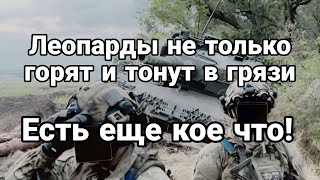 Леопарды не только Г0РЯТ И Т0НУТ В ГРЯЗИ! Есть ЕЩЁ К0Е ЧТ0!!