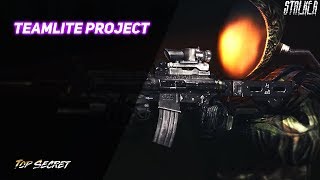 ? Сталкер TeamLite Project