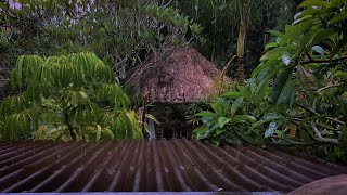 Heavy Rain Drops on Tin Roof | Falling RAIN Sounds for Relaxing & Insomnia | Nature Sounds Sleep Aid