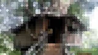 Harsha Bharthi Trip