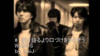 WANDS 　『愛を語るより口づけをかわそう』
