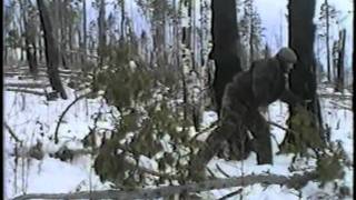 Охота с лайкой 