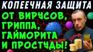 КОПЕЕЧНАЯ ЗАЩИТА ОТ ВИРУСОВ, ГРИППА, ГАЙМОРИТА И ПРОСТУДЫ! Много рецептов - простуда, грипп.