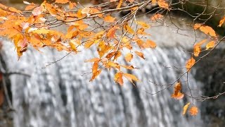 雫石町鶯宿 紅葉の逢滝(おうたき) | 盛岡 観光 | ホテルエース盛岡 観光情報