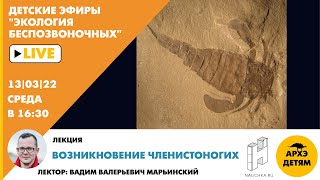 Детский эфир "Возникновение Членистоногих" курса "Экология беспозвоночных" с Вадимом Марьинским