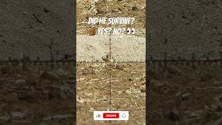 Did he survive? You be the judge #hunting #ultimatehunting #prairiedogs