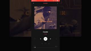 TIMAL - CAVALER (OFFICIEL EXLU)