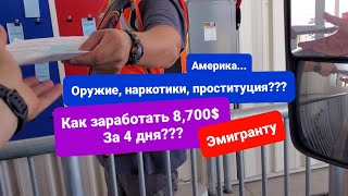 Работа в Америке Рейс Калифорния - Флорида 8,700$ 4 дня и 4600 километров впереди Водитель в США