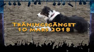 träning 10 mars