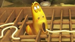 LARVA  Animation drôle |  LARVA ET LA SPAGHETTI |  Dessins animés pour enfants | LARVA  Officiel