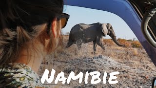 #61 SAFARI incroyable en Namibie