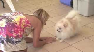 Jenny Scordamaglia - Best Friend Forever Season 1 South Florida