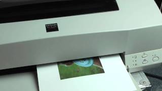 Epson Stylus 1200