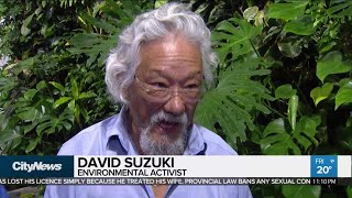 Climate change remains key priority for voters