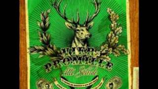 4 Promille - Harald Unser