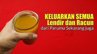 BERSIHKAN SEMUA RACUN DAN LENDIR DI PARUMU SEJAK TEGUKAN PERTAMA, SANGAT MANUUR