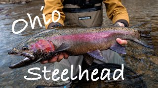 Fly Fishing for Steelhead in Small Ohio Creek! (Jan 2020)