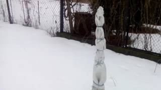 УКРЫТИЕ ОДНОЛЕТНИХ САЖЕНЦЕВ деревьев на зиму//На заметку