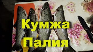 Рыбалка в Карелии. Кумжа. Палия.