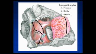 Cardiac CT: Anatomy and Anatomic Pitfalls Part 1