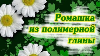 Ромашка из полимерной глины. BASTIK MAY