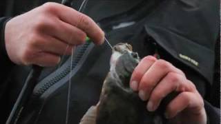 Plattfiskguiden - Skrubba - Tactics for flounder fishing