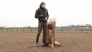 [Training] Shilas and Flip!