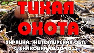 Тихая охота. Украина. Житомирская обл. с. Скаковка 28.10.2015