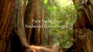 The Redwood forest Yogini,  pure nude yoga sampled beat