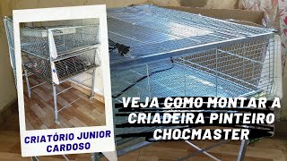 Veja como montar a Gaiola Criadeira Pinteiro Chocmaster para 150 aves passo a passo