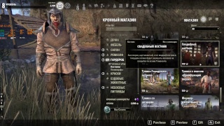 The Elder Scrolls Online test битрейт 6к