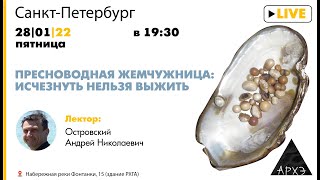 Лекция Андрея Островского "Пресноводная жемчужница: исчезнуть нельзя выжить"