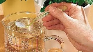 6 Натуральных удобрений для комнатных цветов и не только!