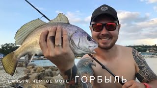 12.06.17. Чёрное море. Джубга. Знакомство с горбылём.