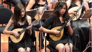 Concerto in G Major for Two Mandolins and Orchestra - Allegro - Antonio Vivaldi